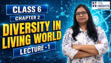 Class 6 Science Chapter 2 | Diversity in Living World | Lecture 1 youtube thumnail